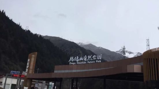 藏族羌族自治州藏文圖書館