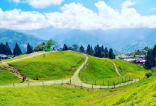 青青草原景点图片