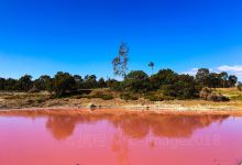 亚林加普旅游图片-卡尔巴里+杰拉尔顿+塞万提斯等多地五日游