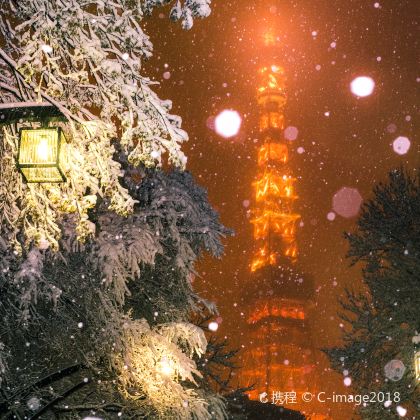 日本东京+富士山+箱根5日4晚私家团