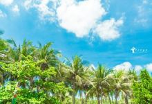 假日海滩景点图片