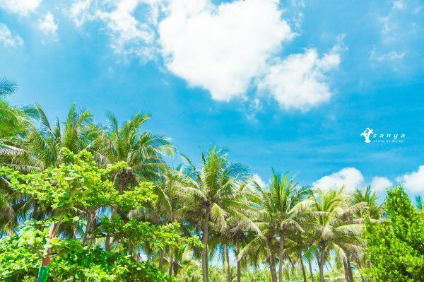 Holiday beach (Recreational resort, Family-friendly, Relaxing environment)