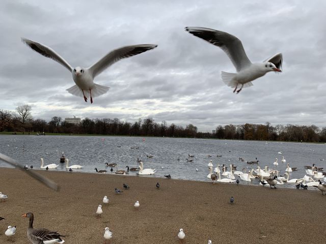 Hyde Park