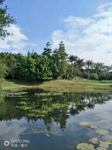 海南热带植物园-儋州-舒婕sj