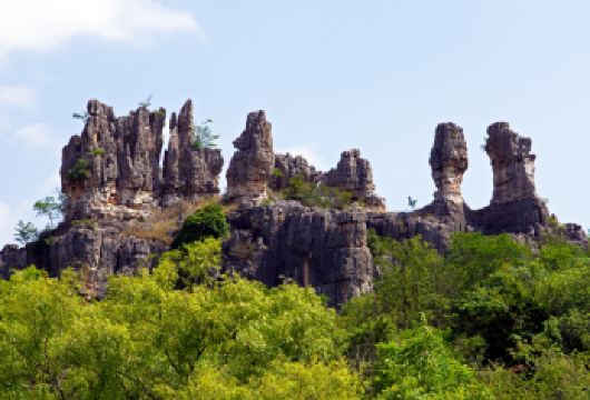 昆明石林风景区+滇池一日游【独立包车 三环内上门接送】【独立包车，真正纯玩自由行】