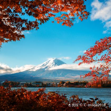 日本东京+富士山5日4晚私家团