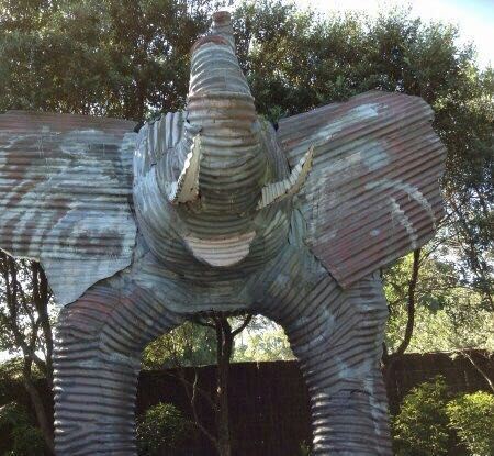 Auckland Zoo