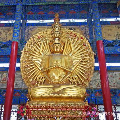 安阳+殷墟+红旗渠+汤阴岳飞庙+羑里城+南海禅寺+宿鸭湖水库+嵖岈山风景区7日6晚私家团