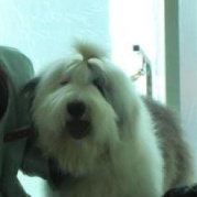 复苏吧偶滴小邪恶