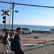 想吃螃蟹的小胖纸