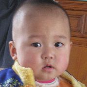 仗剑行酒戏红尘