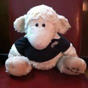 陈小猫一定要加油