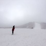 吃石榴不吃石榴心