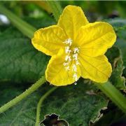 我不是绮绮乖乖