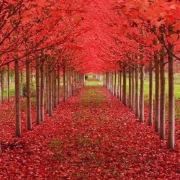 聴她哭泣闻我飘絮