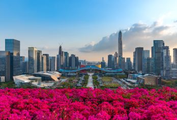 深圳莲花山公园+深圳《大潮起珠江》+深圳湾公园一日活动【[行程亮点]主题红色革命：瞻仰革命旧址、缅怀革命先烈，追忆红色记忆、体验红色感动】