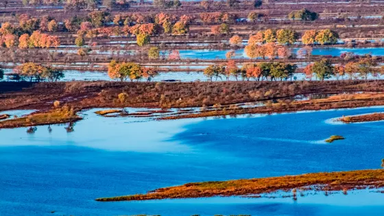 烏蘇里江國家森林公園