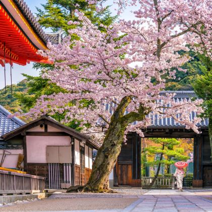 日本9日8晚半自助游