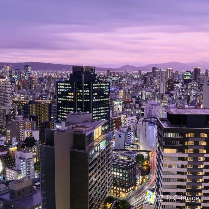 日本7日6晚半自助游