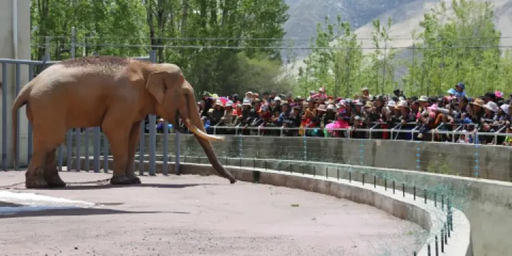 西藏拉薩凈土健康動物保護園