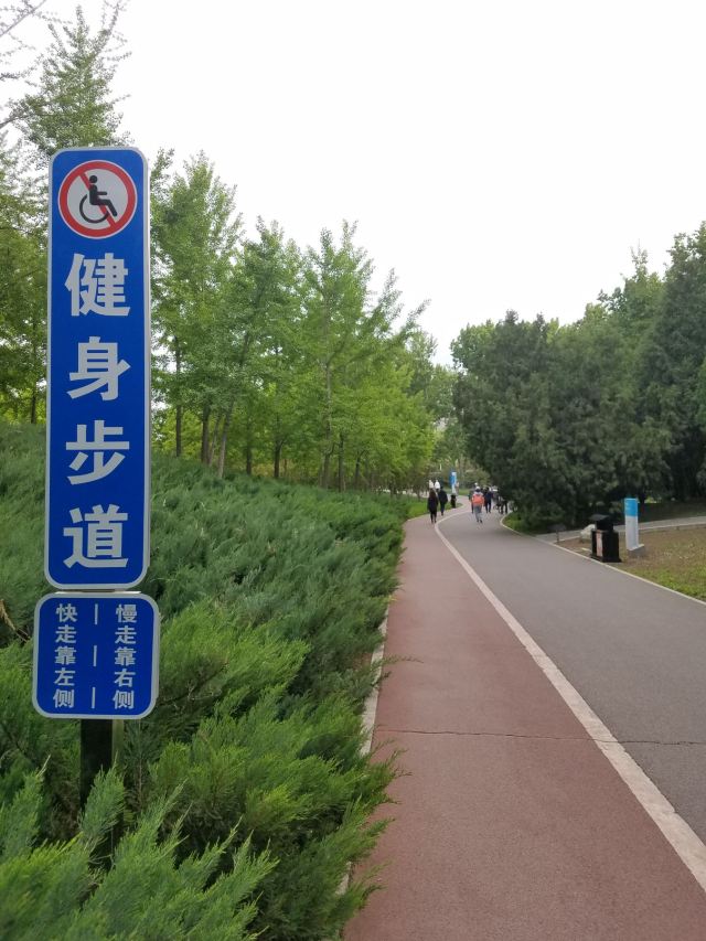 四得公园旅行图片 6