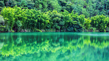 蜀南竹海-3