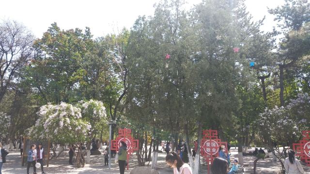 长青公园旅行图片 2