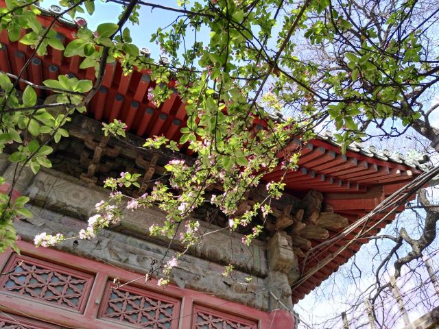 孚王府(不对外开放)旅行图片 6