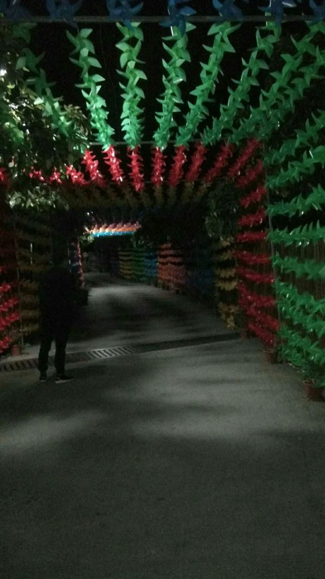 吹台山森林公园旅行图片 3