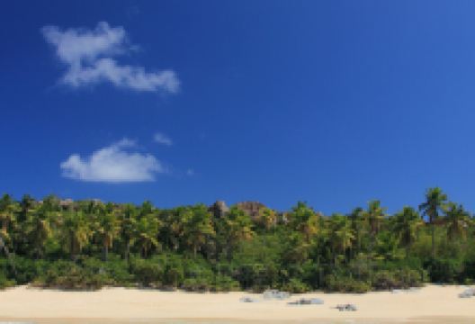 Playa Dominicus景点图片