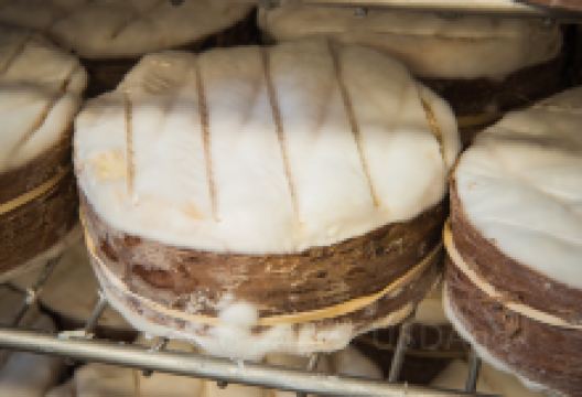 Cellars At Jasper Hill购物图片