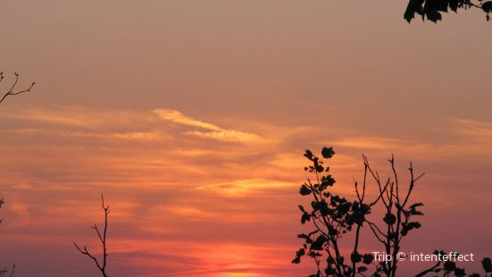 Goodyear Airdock travel guidebook -must visit attractions ...