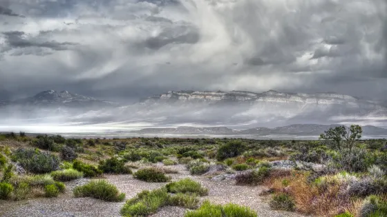 Tule Springs Fossil Beds National Monument
