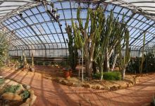 Birmingham Botanical Gardens景点图片