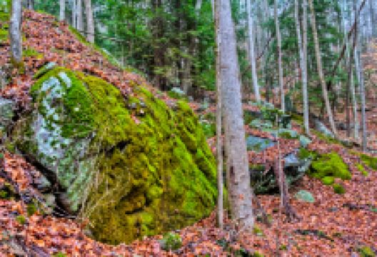 South Cumberland State Park景点图片