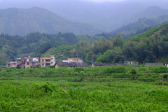 乐昌游记图片] 隐于山村民宿