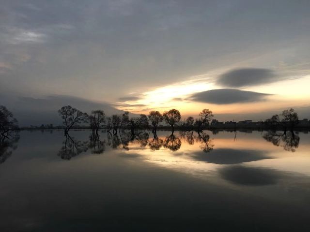 黄龙潭公园旅行图片 2