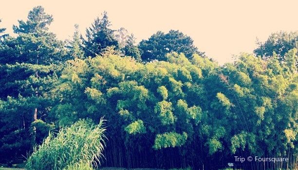Botanischer Garten Botanical Garden Of The University Of Vienna