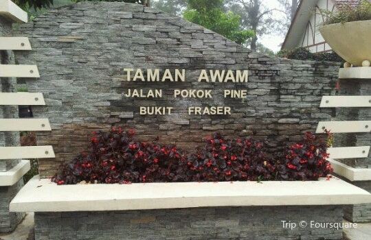 Taman Awam Bukit Fraser Tickets Deals Reviews Family