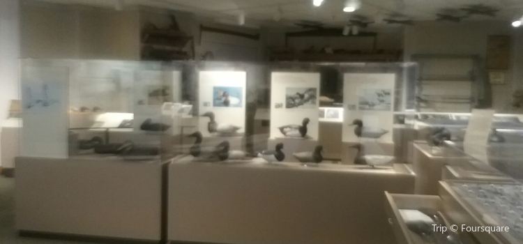 Havre De Grace Decoy Museum Travel Guidebook Must Visit