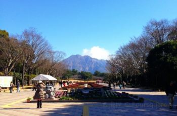 公園 吉野