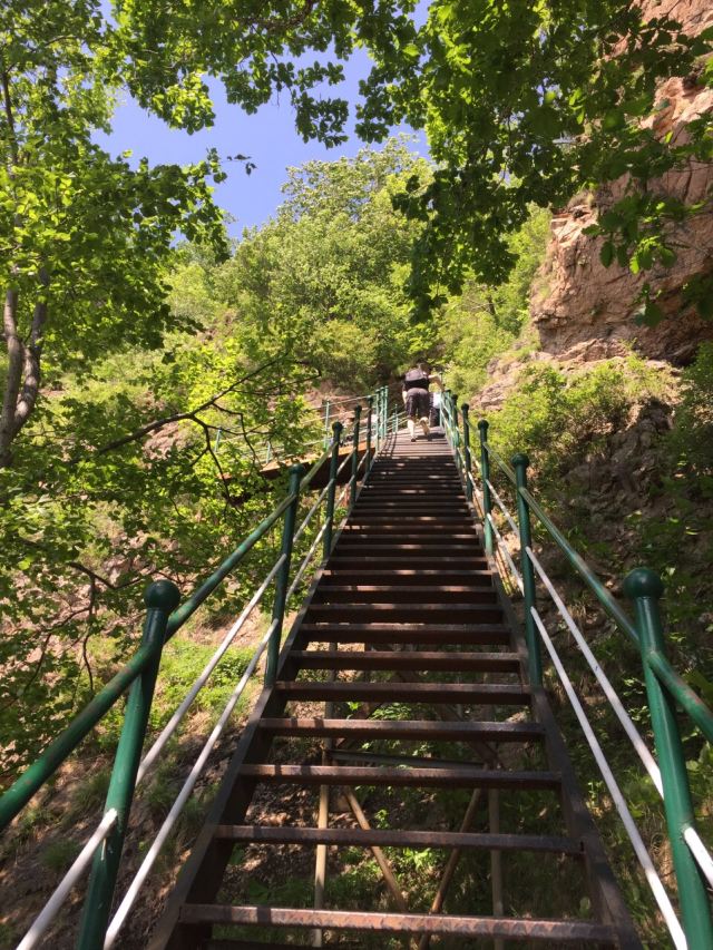 拉法山國家森林公園