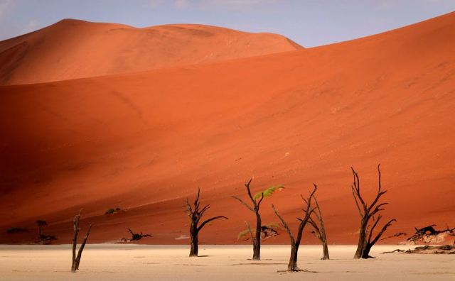 Namib-Naukluft National Park