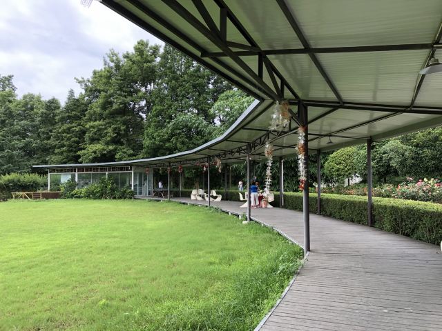 成都温江天香玫瑰缘旅行图片 10