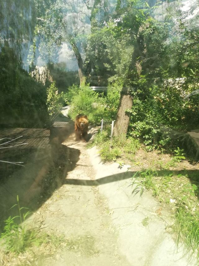 Beijing Zoo