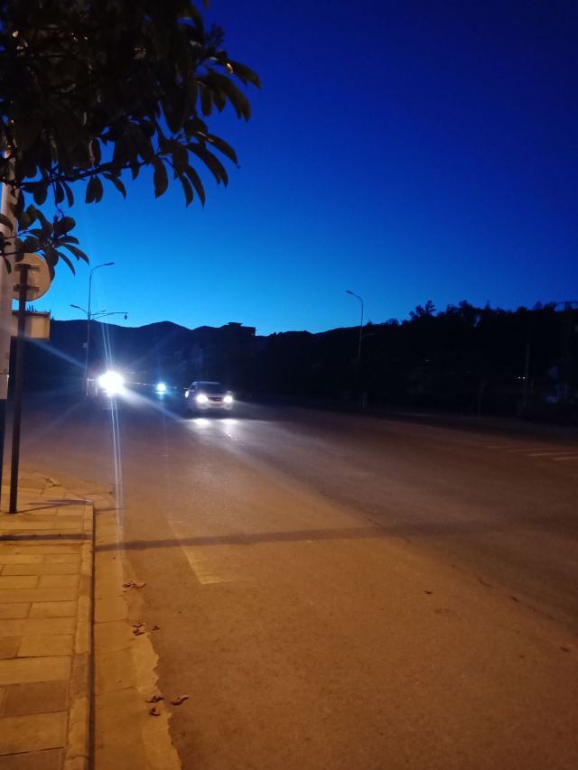 龙泉国家森林公园旅行图片 1