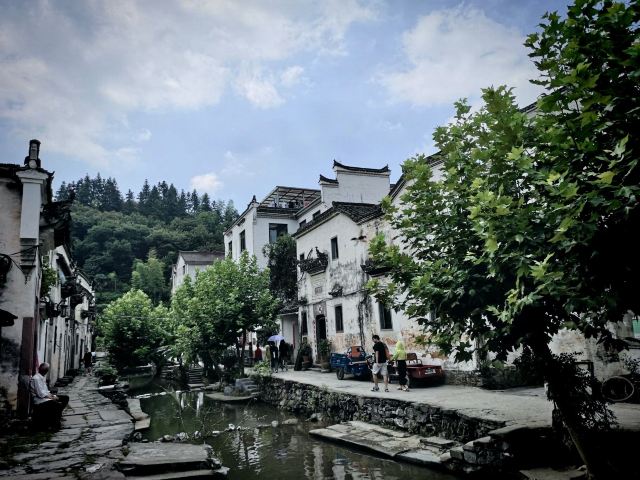 芹川村