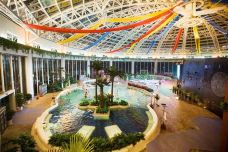 溱湖国家湿地公园-泰州-242278435