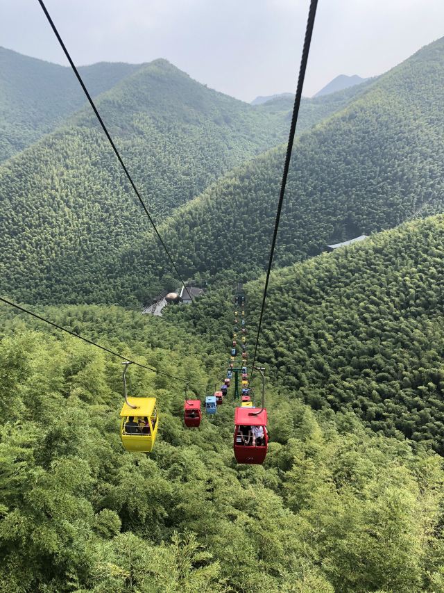 Nanshan Bamboo Sea