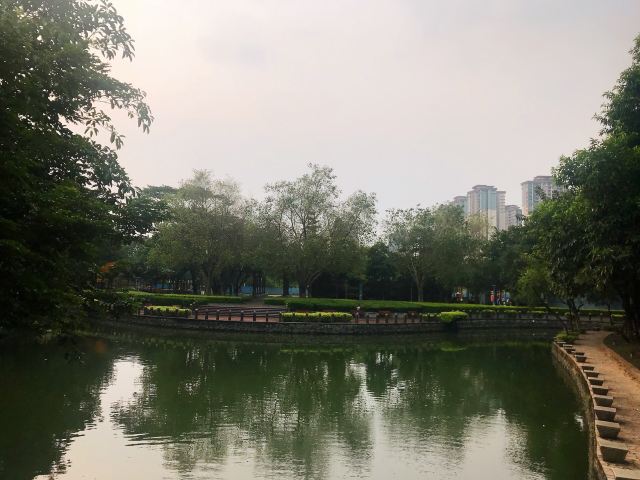 北滘公园旅行图片 10